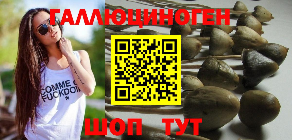 Псилоцибиновые грибы мухоморы  Галлюциногенные грибы Magic Shrooms  Ростов Великий  Вход с VPN 