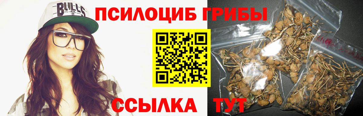 Псилоцибиновые грибы Magic Shrooms Ростов Великий
